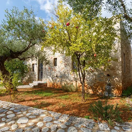 Tzokeika Traditional Settlement * Riglia